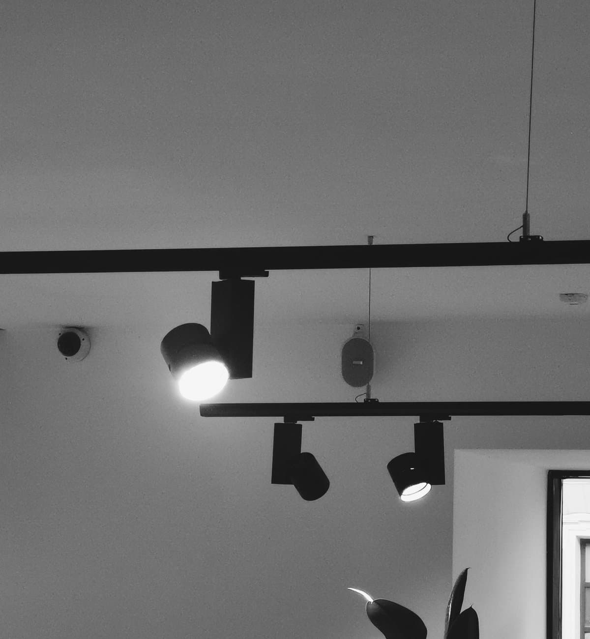 Black modular track spotlights snapped onto a slim ceiling rail, in monochrome