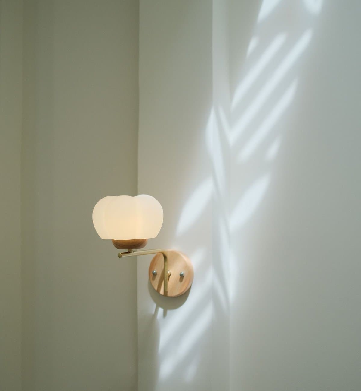 Sculptural wall sconce washed by dappled daylight on a pale plaster wall